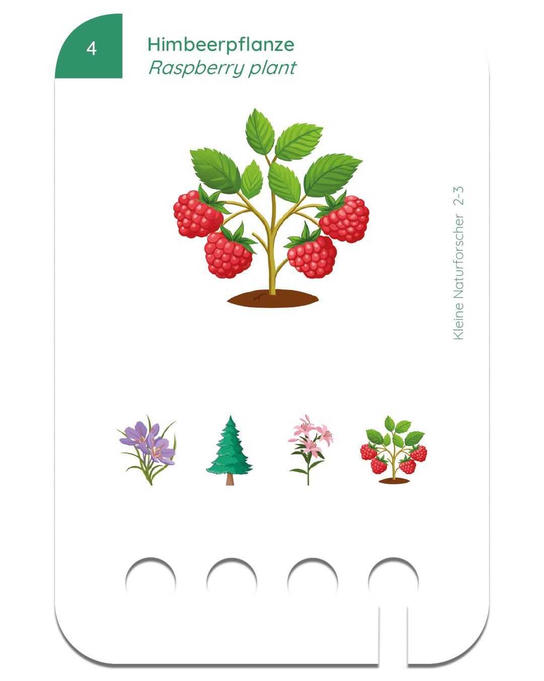 Neu: Kleine Naturforscher