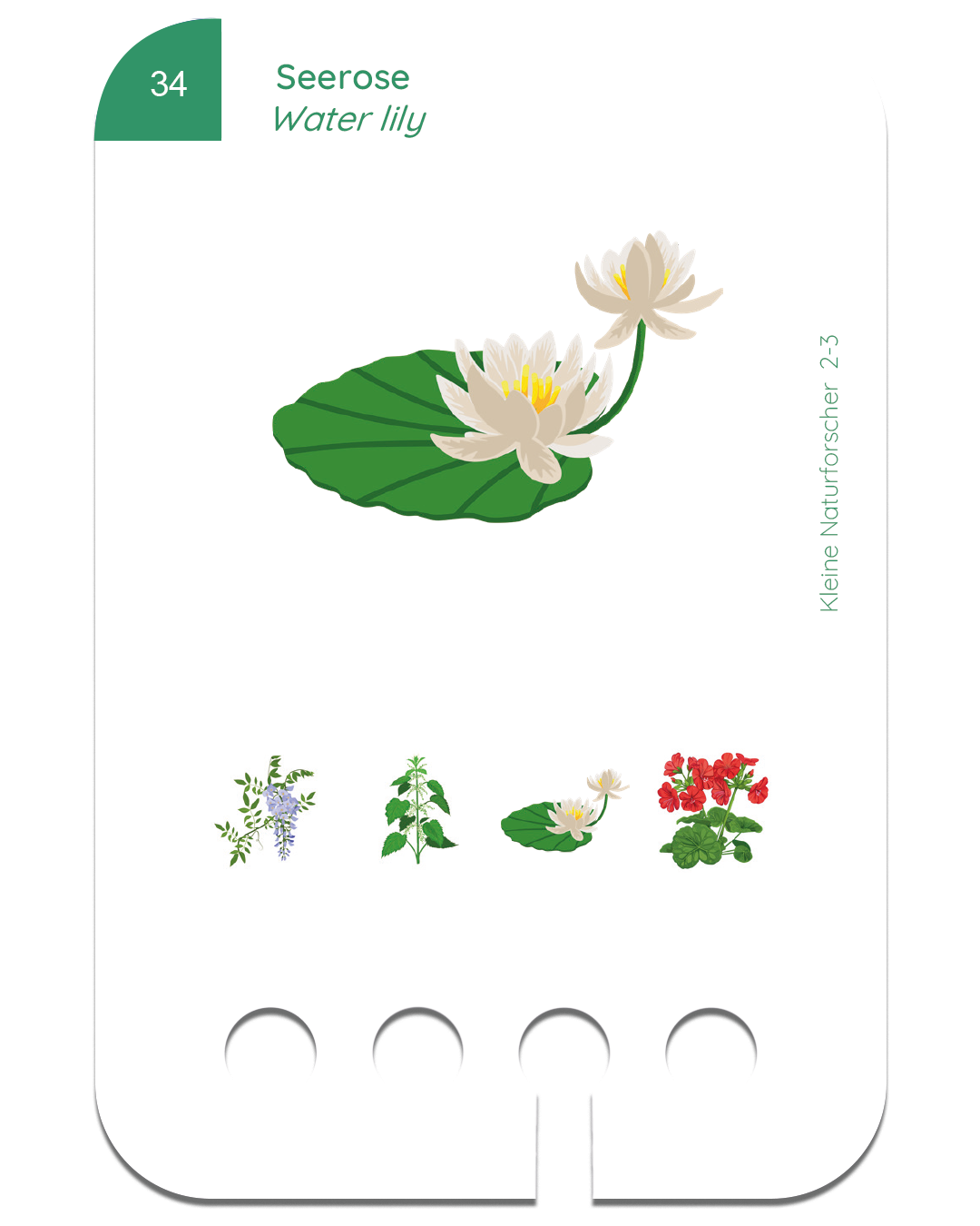 Card deck set from 5 years