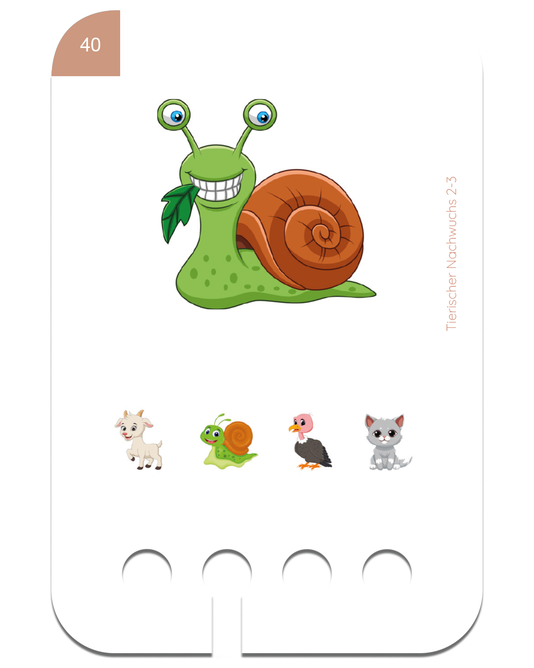 Woodplay Starterset Ages 2-3+ with 6 sets of cards