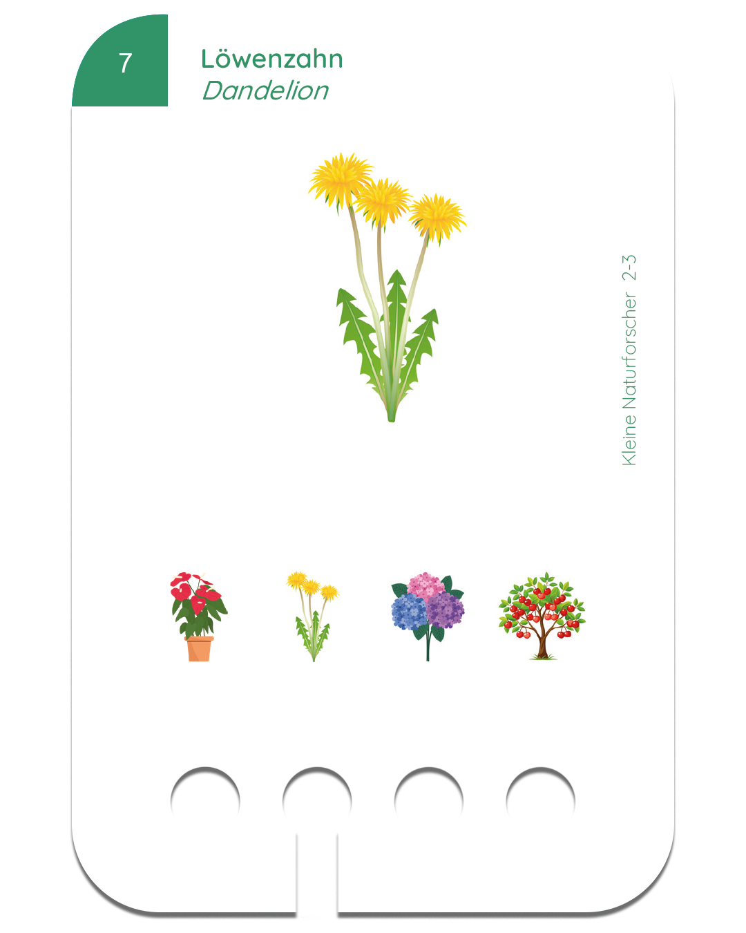 Neu: Kleine Naturforscher