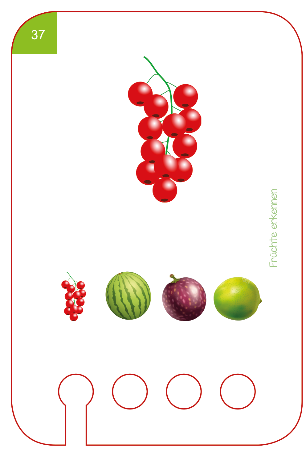 Erste Übungen - Früchte erkennen