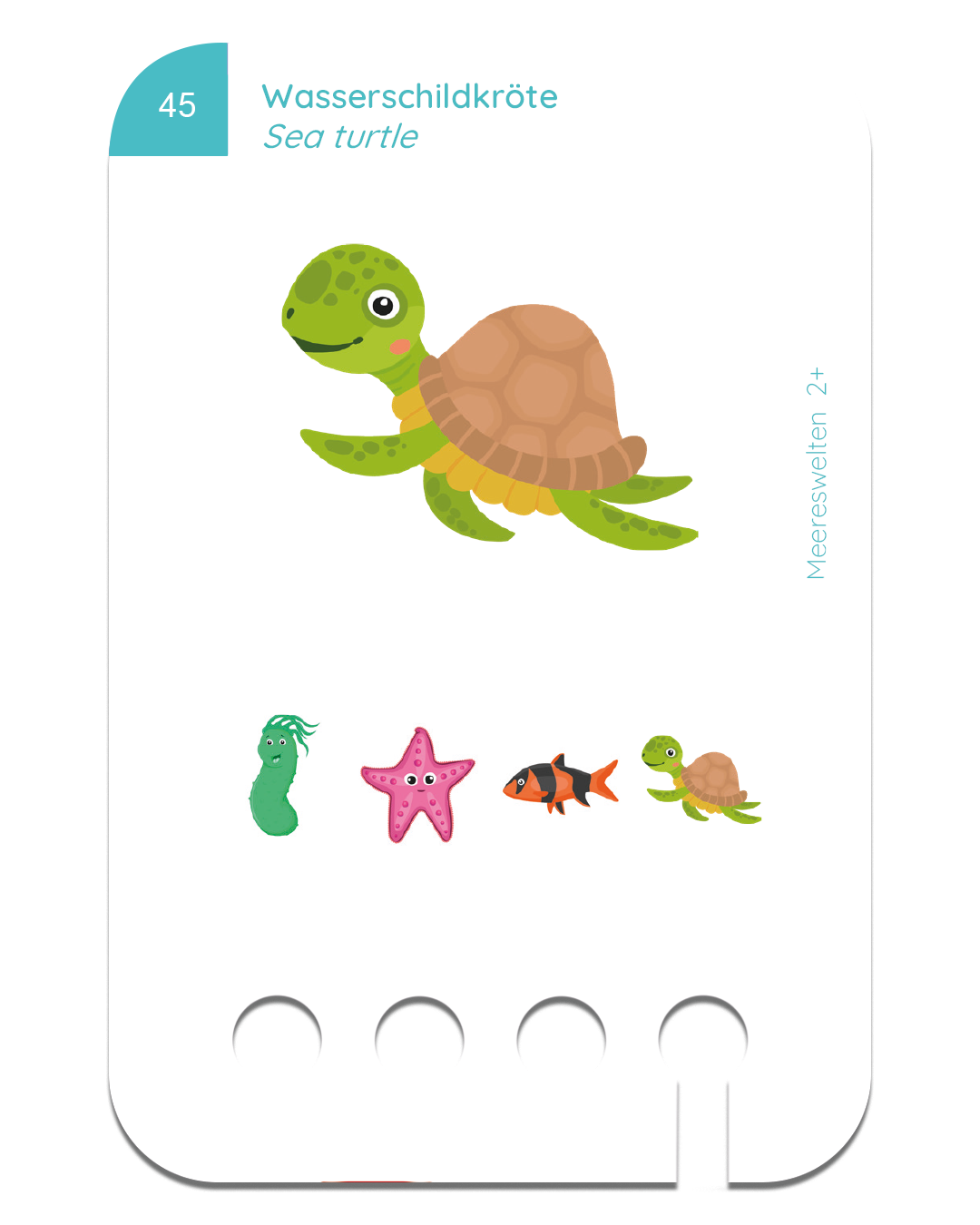 Woodplay Starterset Ages 3+ with 6 sets of cards