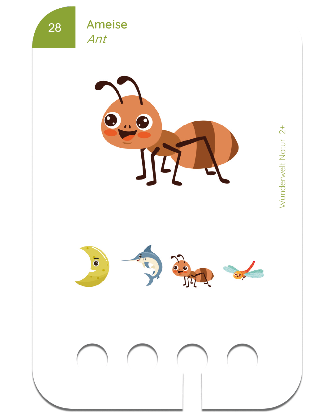 Neu: Erste Übungen - Wunderwelt Natur