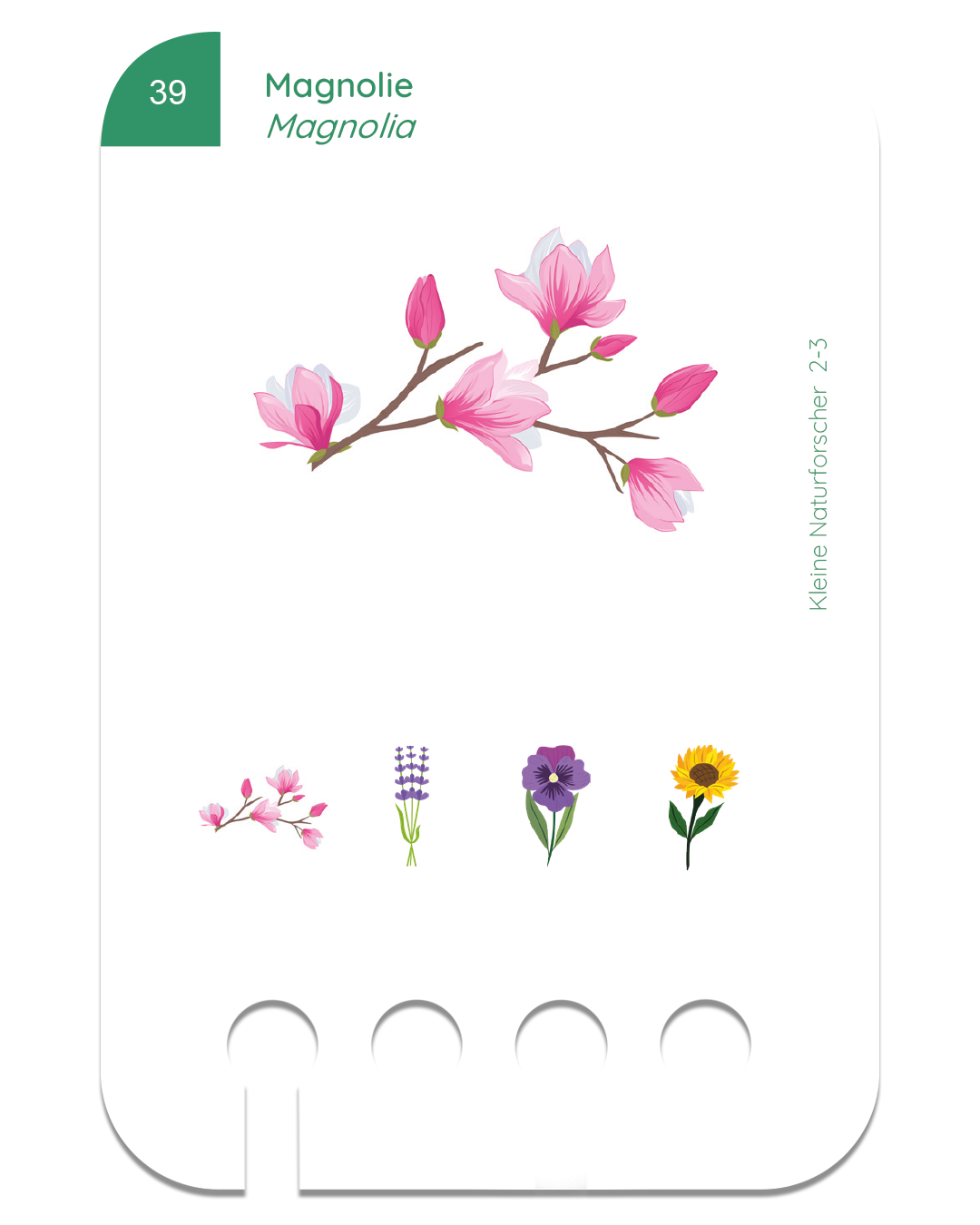 Neu: Kleine Naturforscher