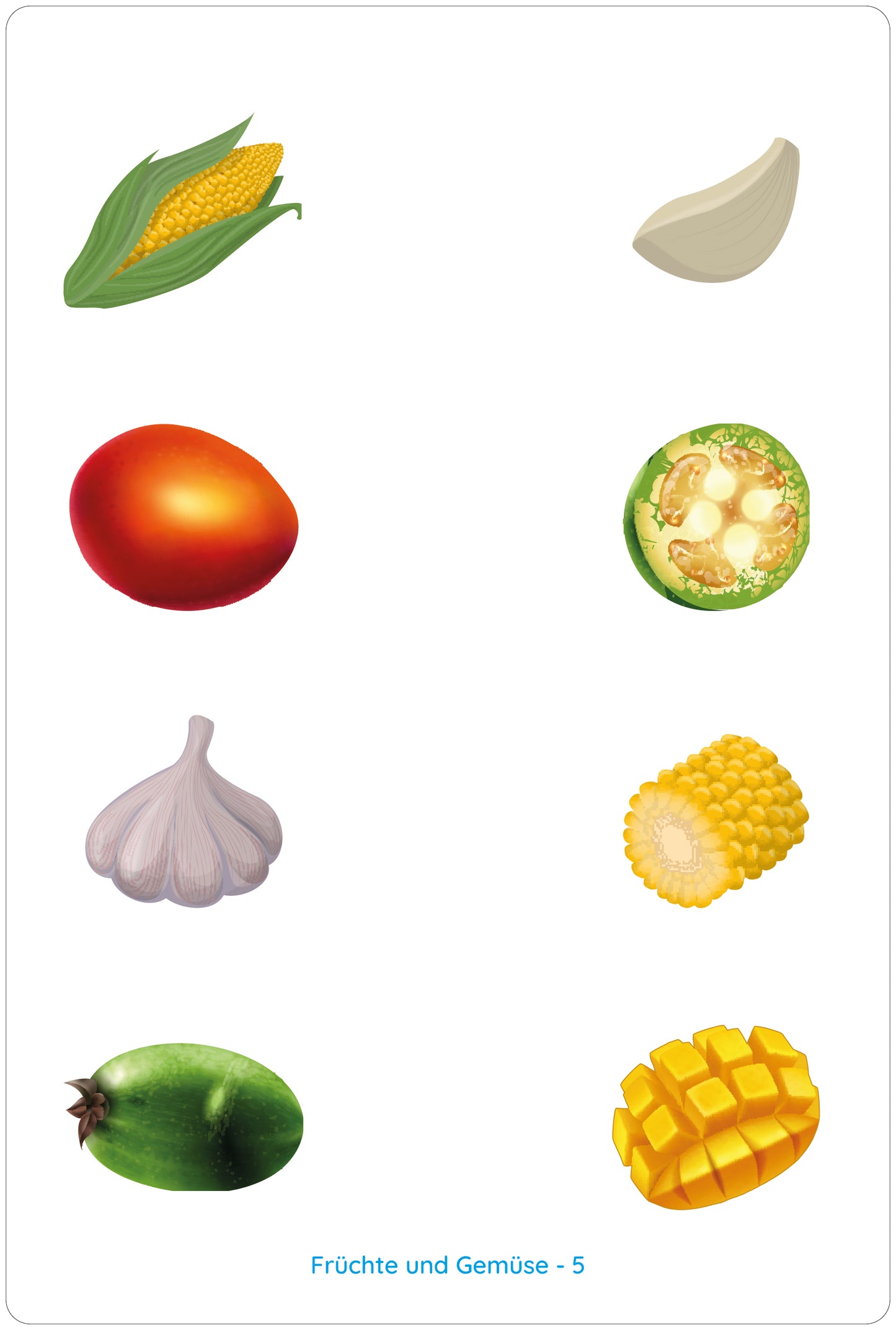 Lemo Kartensatz Früchte und Gemüse