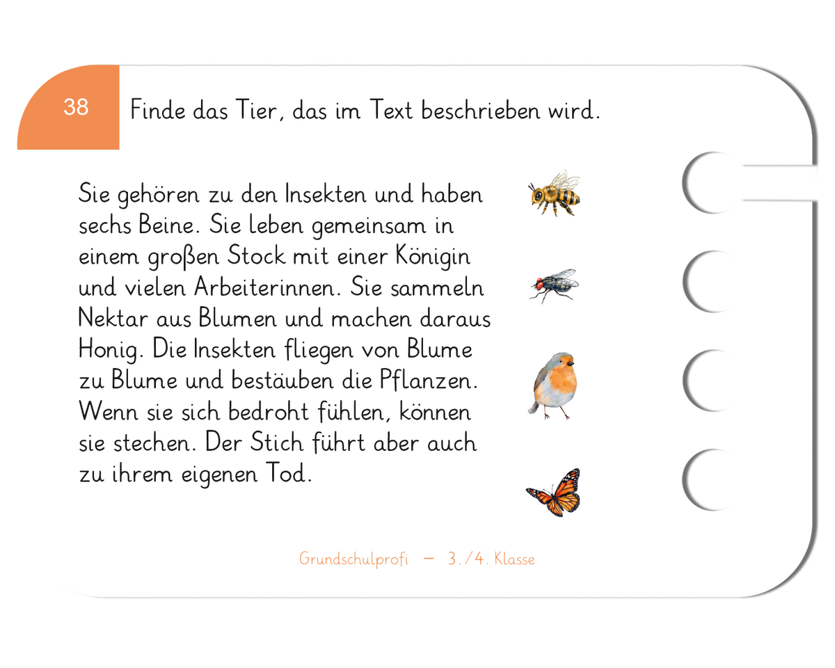 Grundschulprofi Deutsch · 3.–4. Klasse · Kartensatz für den Lochkasten