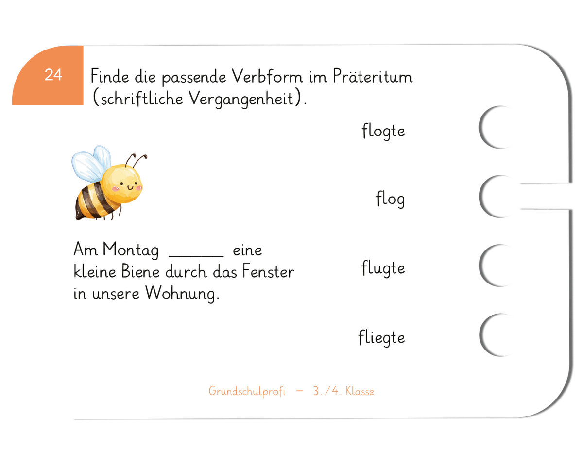 Grundschulprofi Deutsch · 3.–4. Klasse · Kartensatz für den Lochkasten