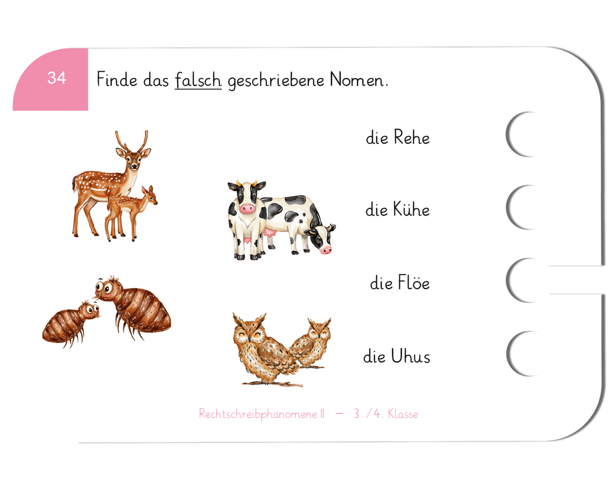 Rechtschreibphänomene II · 3.–4. Klasse · Kartensatz für den Lochkasten