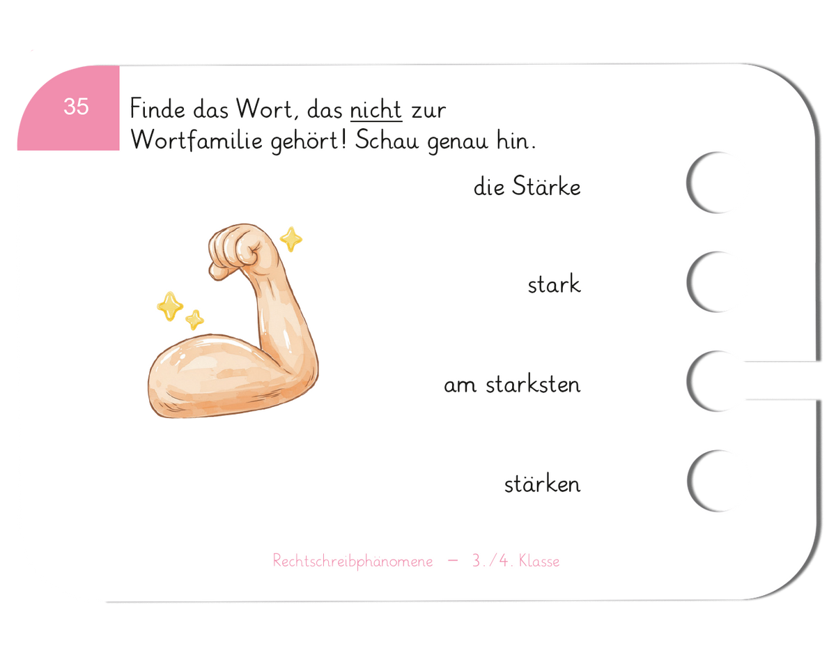Lochkasten Grundschul-Set 1.–4. Klasse für Schulen